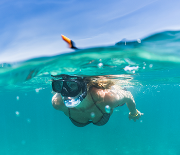 Snorkeling Tours image