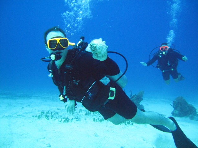 Scuba diving caribbean