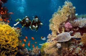 5 reasons to go scuba diving in Jamaica - Couples Resorts