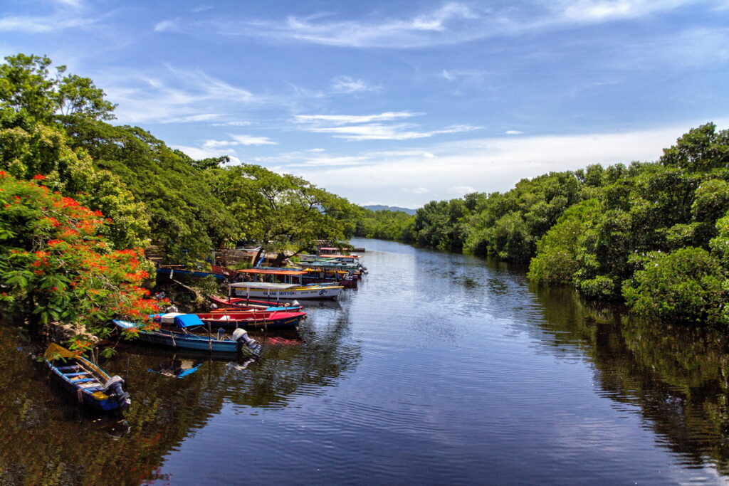 Black River and YS Falls Tour