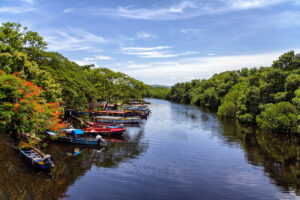 Black River and YS Falls Tour